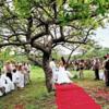 Thanda Offers Unique Venues For The Ceremony image